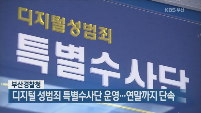 부산경찰청, 디지털 성범죄 특별수사단 운영…연말까지 단속