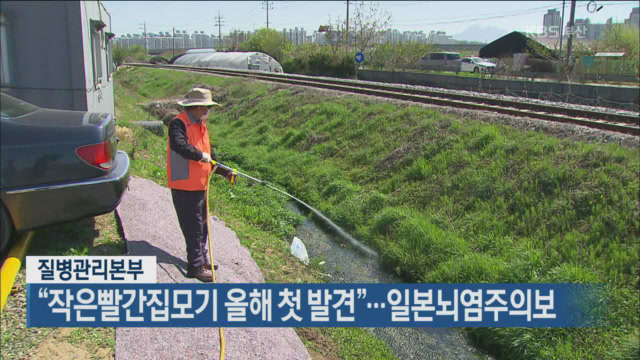 “작은빨간집모기 올해 첫 발견”…일본뇌염주의보