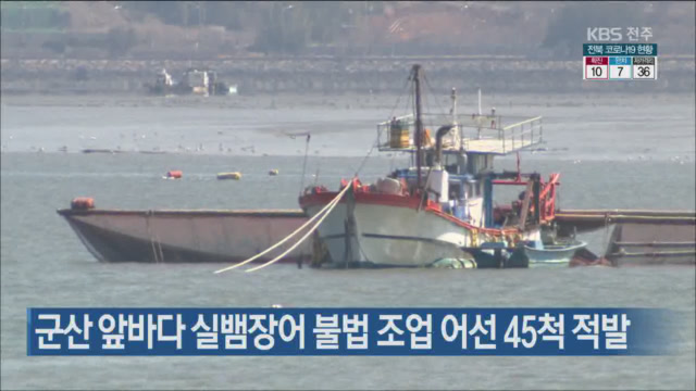 군산 앞바다 실뱀장어 불법 조업 어선 45척 적발