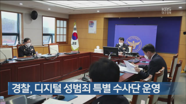 경찰, 디지털 성범죄 특별 수사단 운영