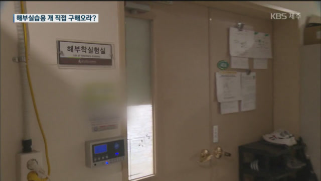 “해부 실습용 안락사 예정 개 직접 구해오라” 논란