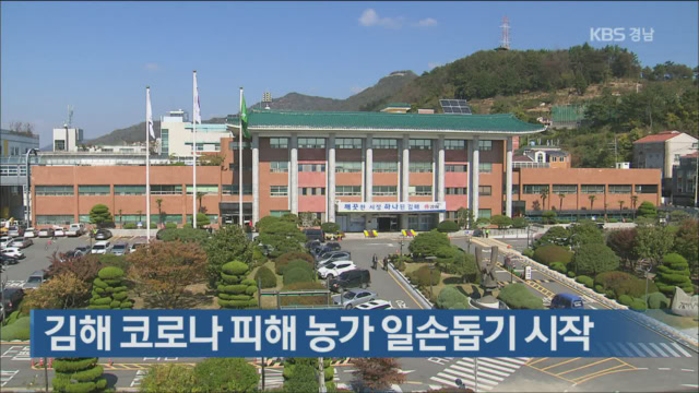 김해 코로나19 피해 농가 일손돕기 시작