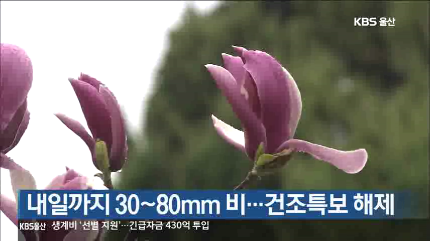 내일까지 30~80mm 비...건조특보 해제