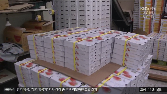 코로나19로 딸기 등 신선농산물 수출길도 막혀