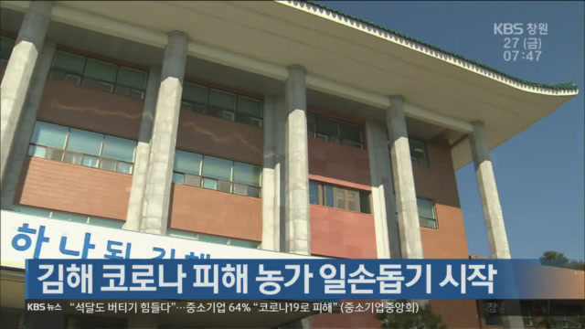 김해 코로나 피해 농가 일손돕기 시작