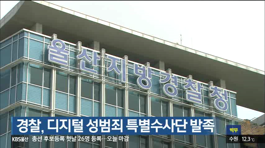 경찰, 디지털 성범죄 특별수사단 발족