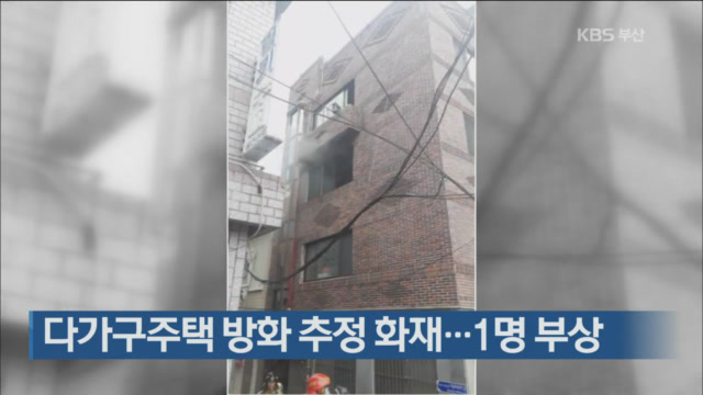 다가구주택 방화 추정 화재…1명 부상