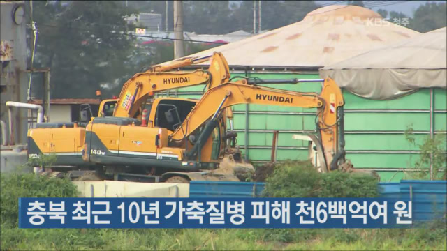충북 최근 10년 가축질병 피해 천6백억여 원