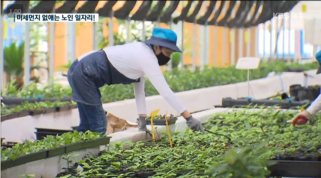 미세먼지 저감에 노인 일자리 창출까지!