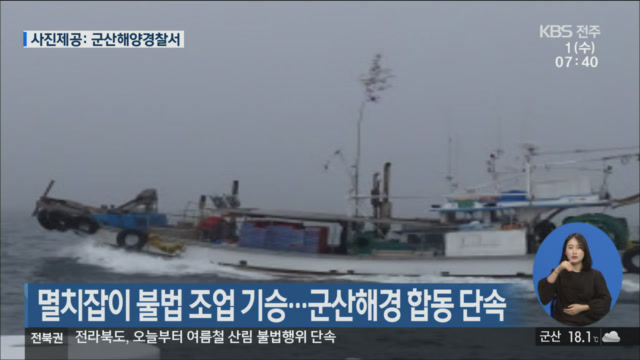 멸치잡이 불법 조업 기승…군산해경 합동 단속