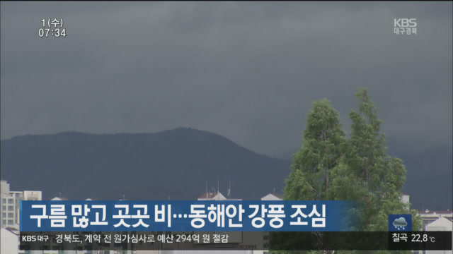 대구·경북 구름 많고 곳곳 비…동해안 강풍 조심