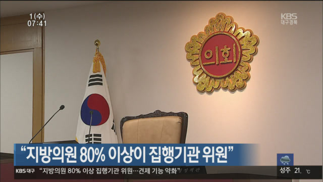 “지방의원 80% 이상이 집행기관 의원”