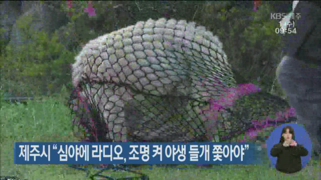 제주시 “심야에 라디오, 조명 켜 야생 들개 쫓아야”