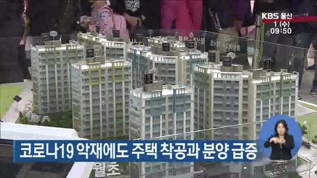 코로나19 악재에도 주택 착공과 분양 급증