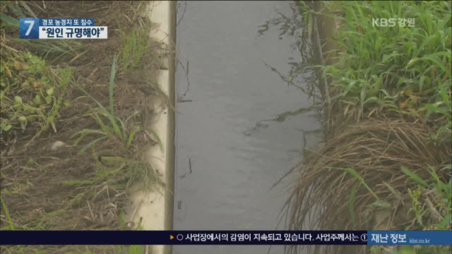 강릉 경포 농경지 3년 연속 침수 피해…대책 시급