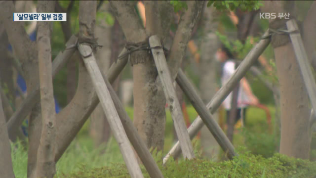 부산 어린이집서 30여 명 장염 증세…“식중독균 발견”
