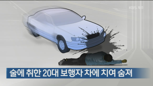 술에 취한 20대 보행자 차에 치여 숨져
