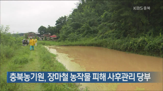 충북농기원, 장마철 농작물 피해 사후관리 당부