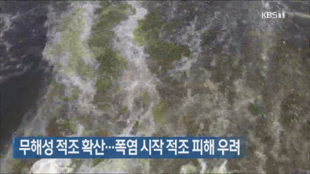 무해성 적조 확산…폭염 시작 적조 피해 우려