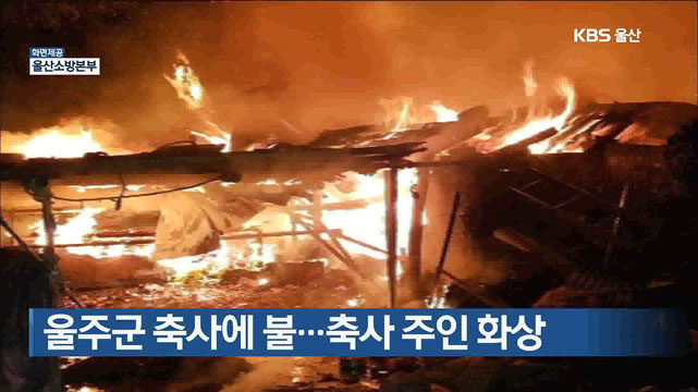 울주군 축사에 불…축사 주인 화상