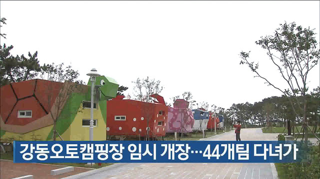 강동오토캠핑장 임시 개장…44개팀 다녀가